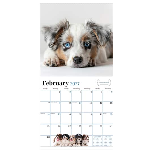 2027 Puppies Wall Calendar